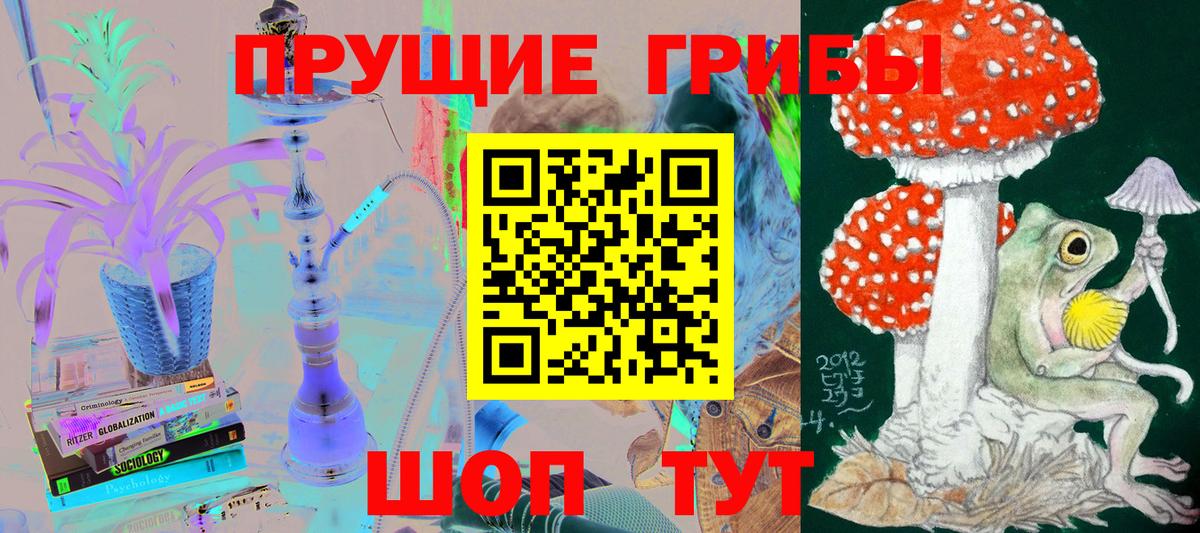 Псилоцибиновые грибы Magic Shrooms  Вход с VPN  закладка  Владивосток 