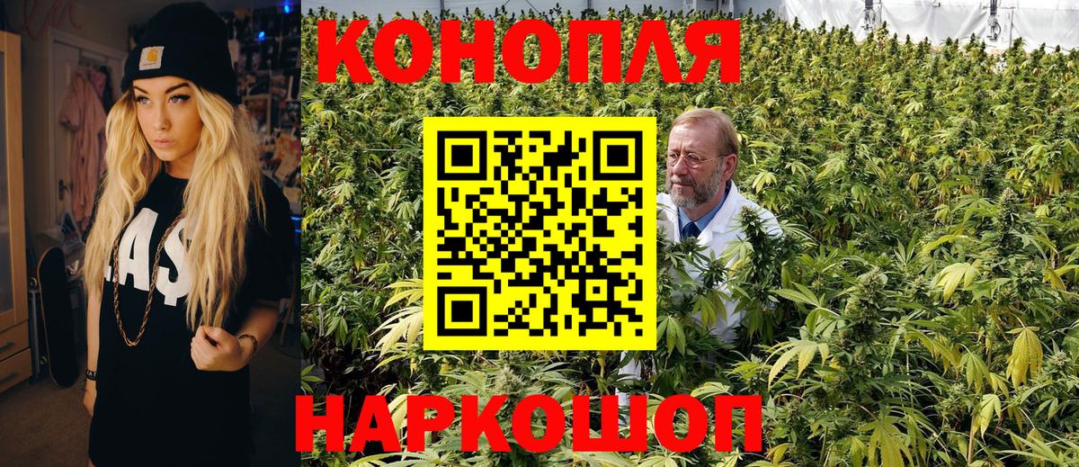 Владивосток  Марихуана семена  Вход с VPN  Конопля OG Kush  Бошки марихуана план  Бошки Шишки семена 